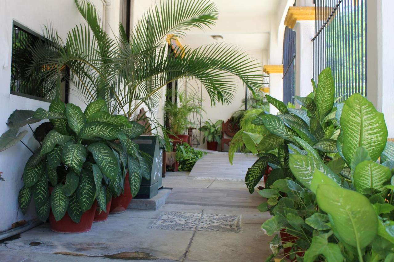 Hotel Arrecife Huatulco